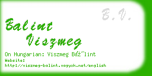 balint viszmeg business card